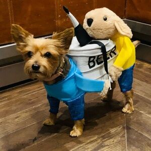 Dog carrying beer costume XS/S The best costume